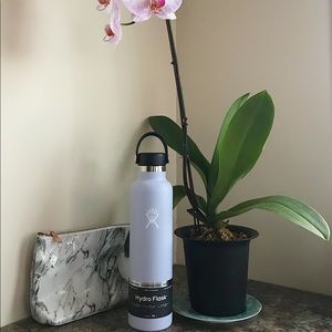 Hydroflask